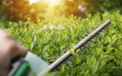 Kerti gép bérlés: legyen könnyű, hatékony a kertrendezés!