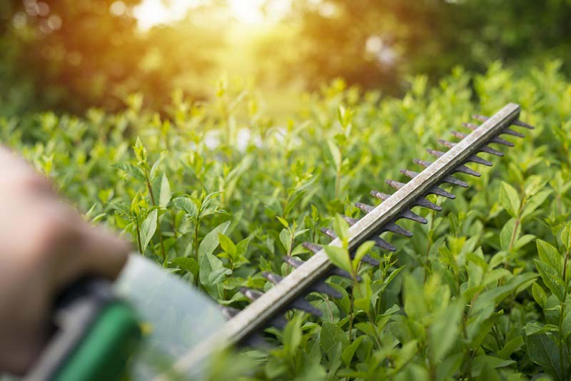 Kerti gép bérlés: legyen könnyű, hatékony a kertrendezés!