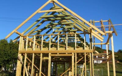 Szakértelem a rönkök között – Mire figyeljen a faház tervezése során?