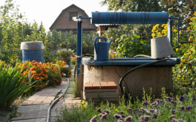 Vízi függetlenség 2026-ban – Miért a profi kútfúrás a legjobb befektetés?