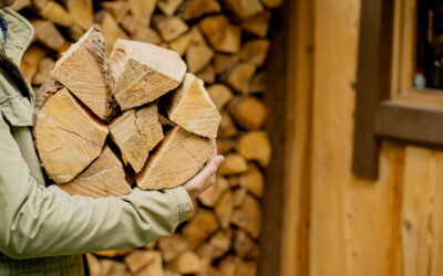 Miért a tavasz a legjobb időpont az online tűzifa vásárlásra?