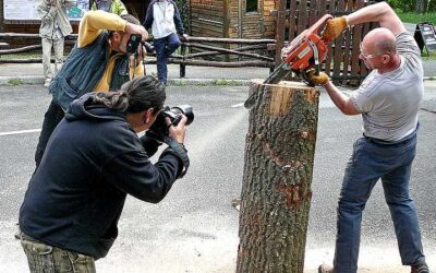 Időtálló elegancia és kreatív látvány: a prémium faszobrászat világa céges és intézményi környezetben