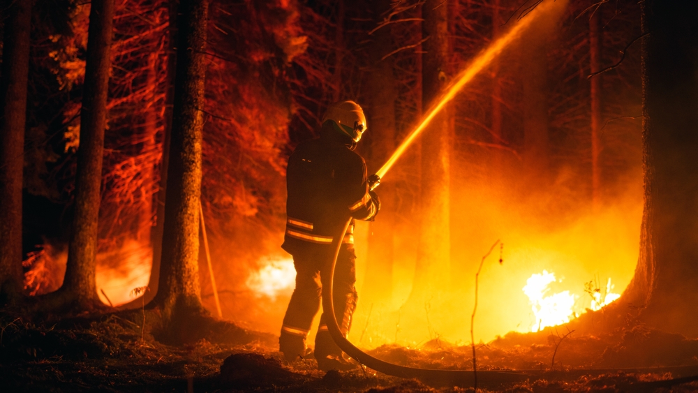 Elite,Firefighter,Methodically,Extinguishing,A,Large,Forest,Fire,With,High-pressure